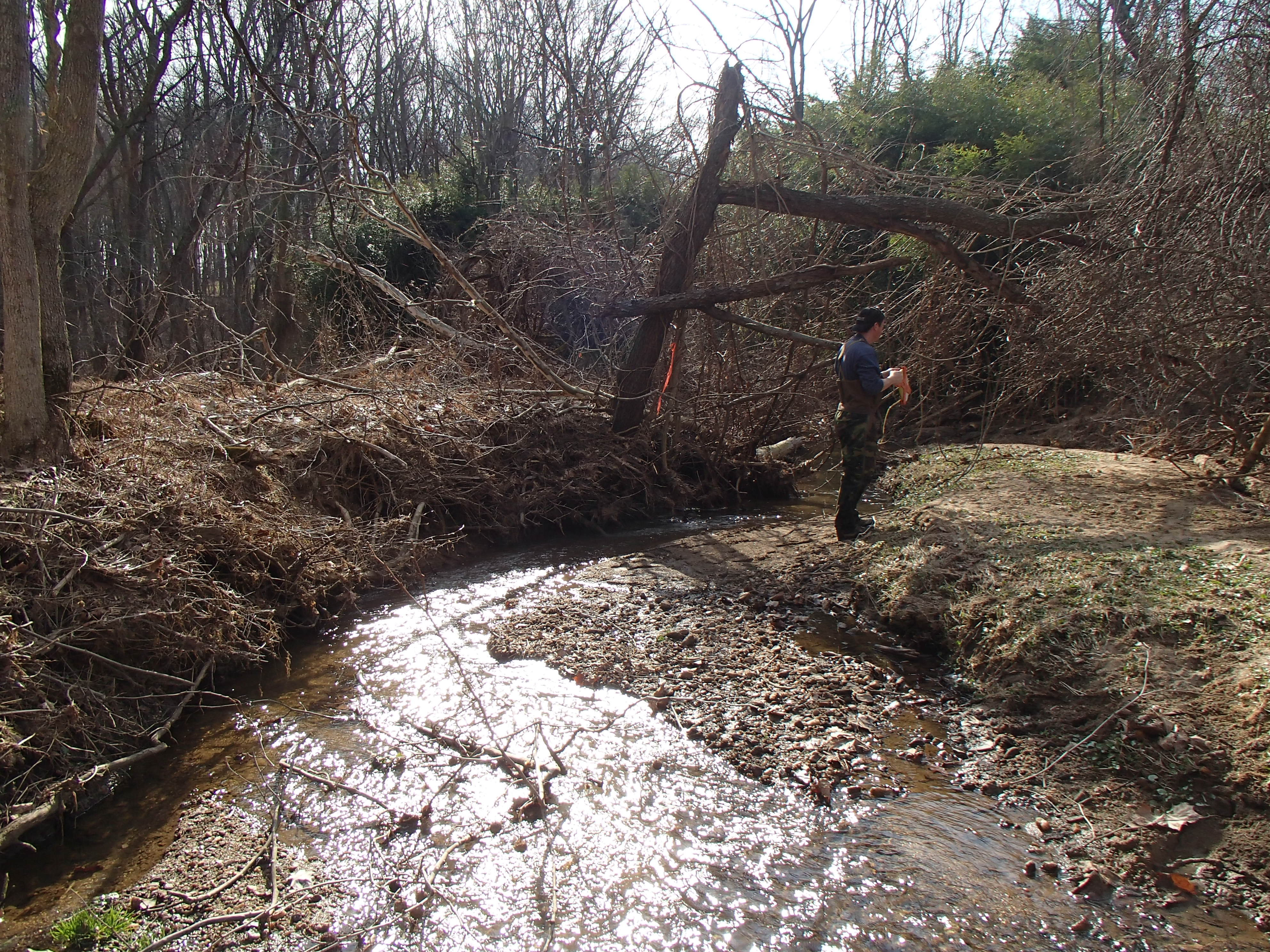 Field photo showing stream conditions at site ATKI_104_R_2016_Mid-point facing downstream